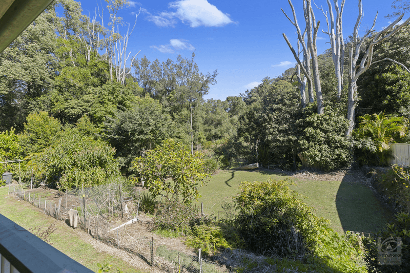 1429 Numinbah Road, Chillingham, NSW 2484