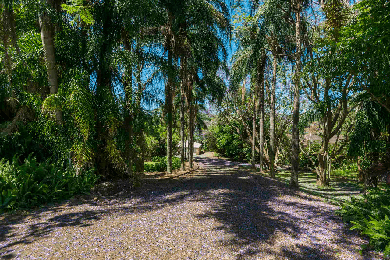 203 Duck Creek Mountain Road, ALSTONVILLE, NSW 2477