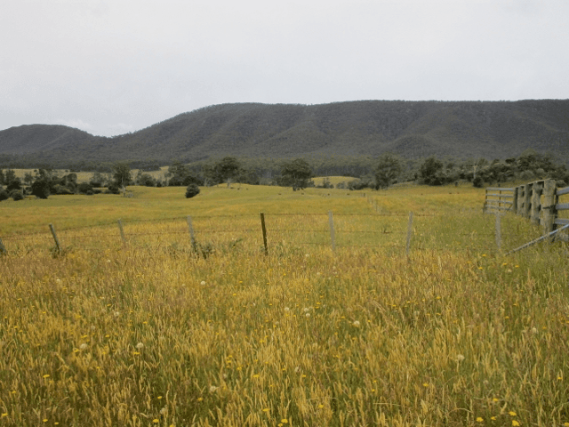 - Den Road, MOLE CREEK, TAS 7304