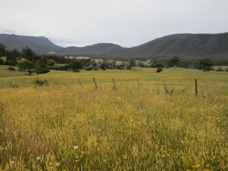 - Den Road, MOLE CREEK, TAS 7304