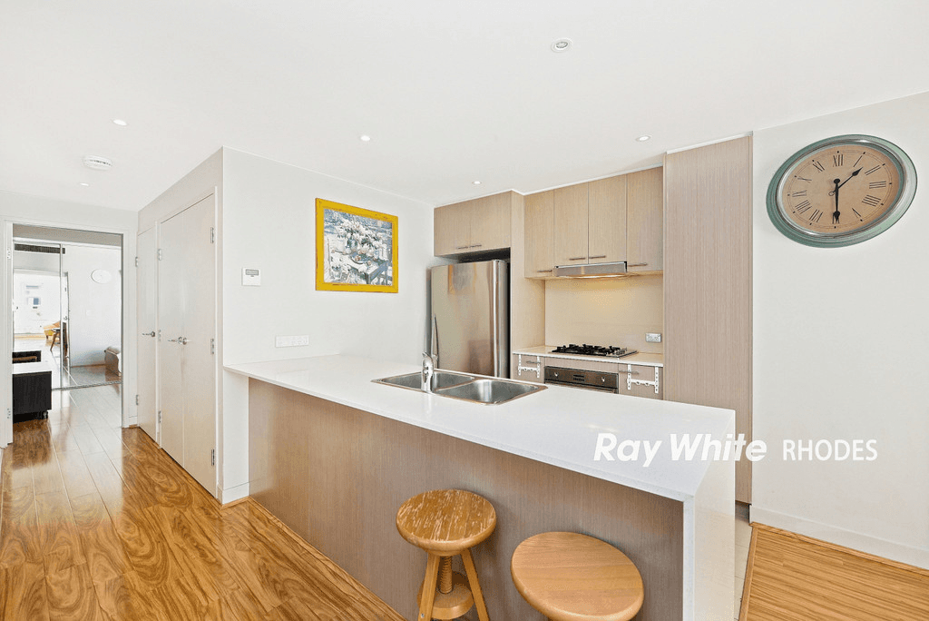 205/17 Jean Wailes Avenue, RHODES, NSW 2138