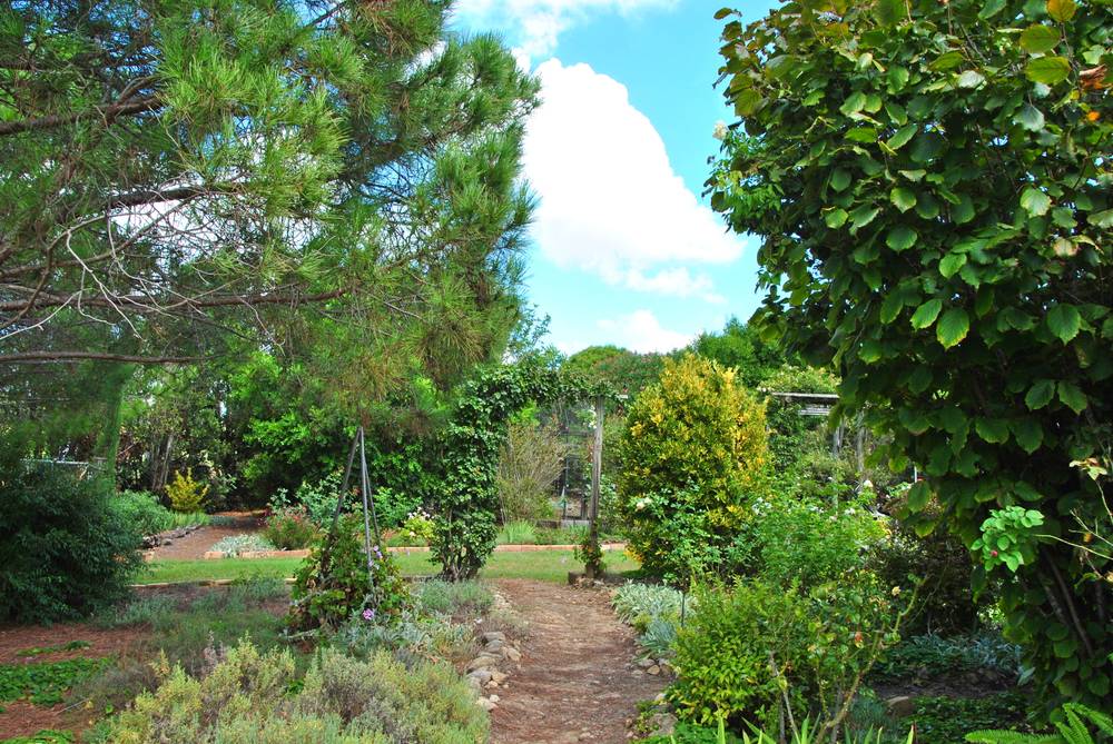 85 Rettkes Rd, Swanfels, QLD 4371