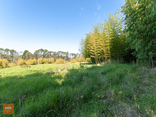 9 Nardoo road, PEATS RIDGE, NSW 2250