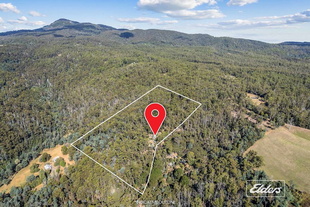 125 Blackball Line Road, Lilydale, TAS 7268