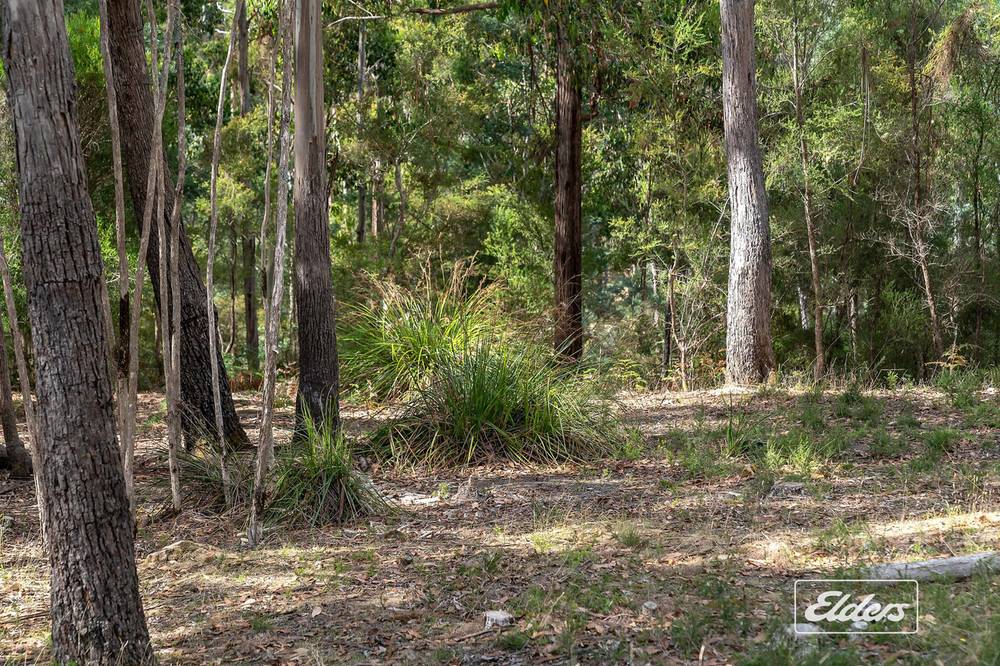 125 Blackball Line Road, Lilydale, TAS 7268