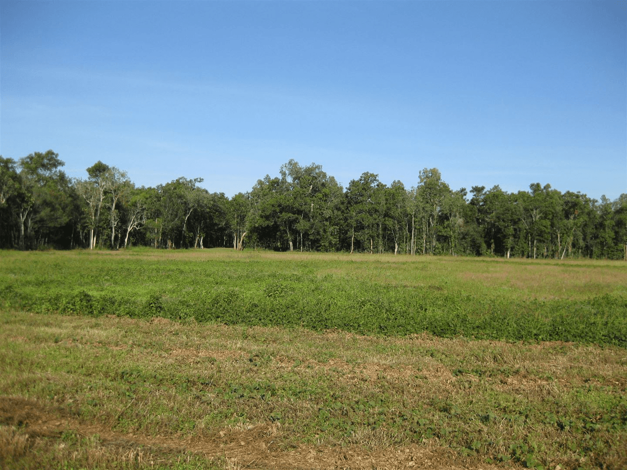 0 Bruce Highway, Bilyana, QLD 4854