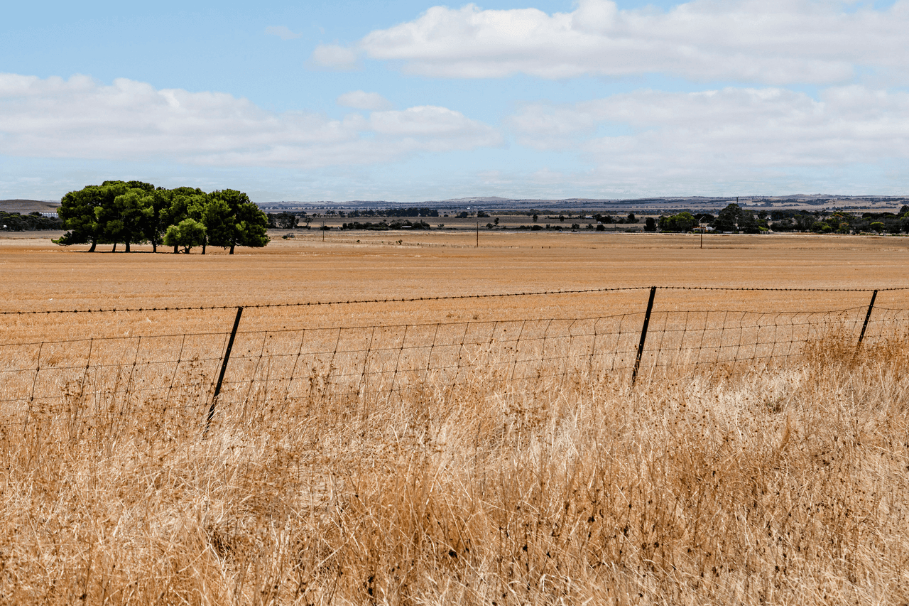 'Moorefield' Jones Road, REDHILL, SA 5521