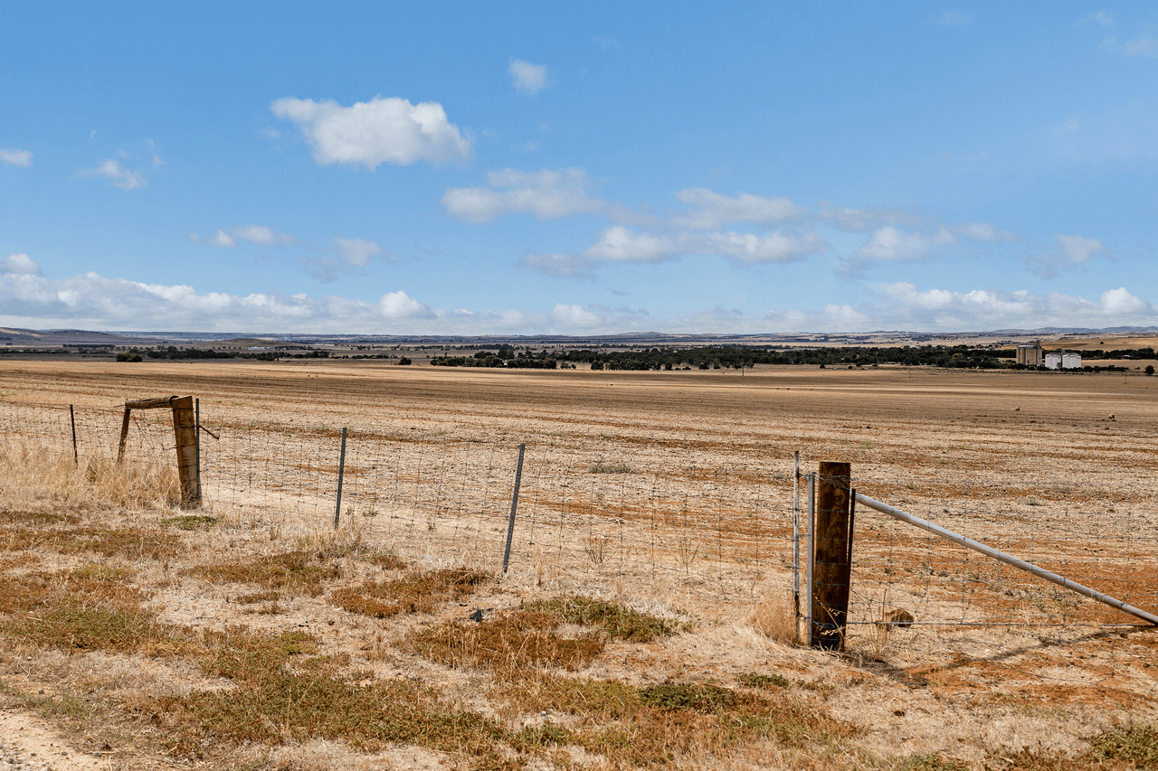 'Moorefield' Jones Road, REDHILL, SA 5521