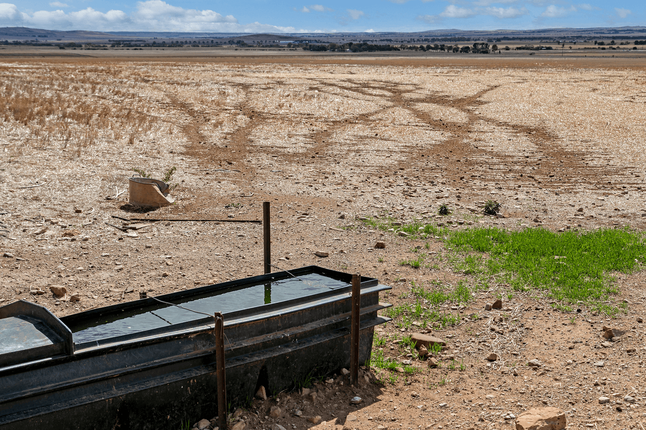 'Moorefield' Jones Road, REDHILL, SA 5521