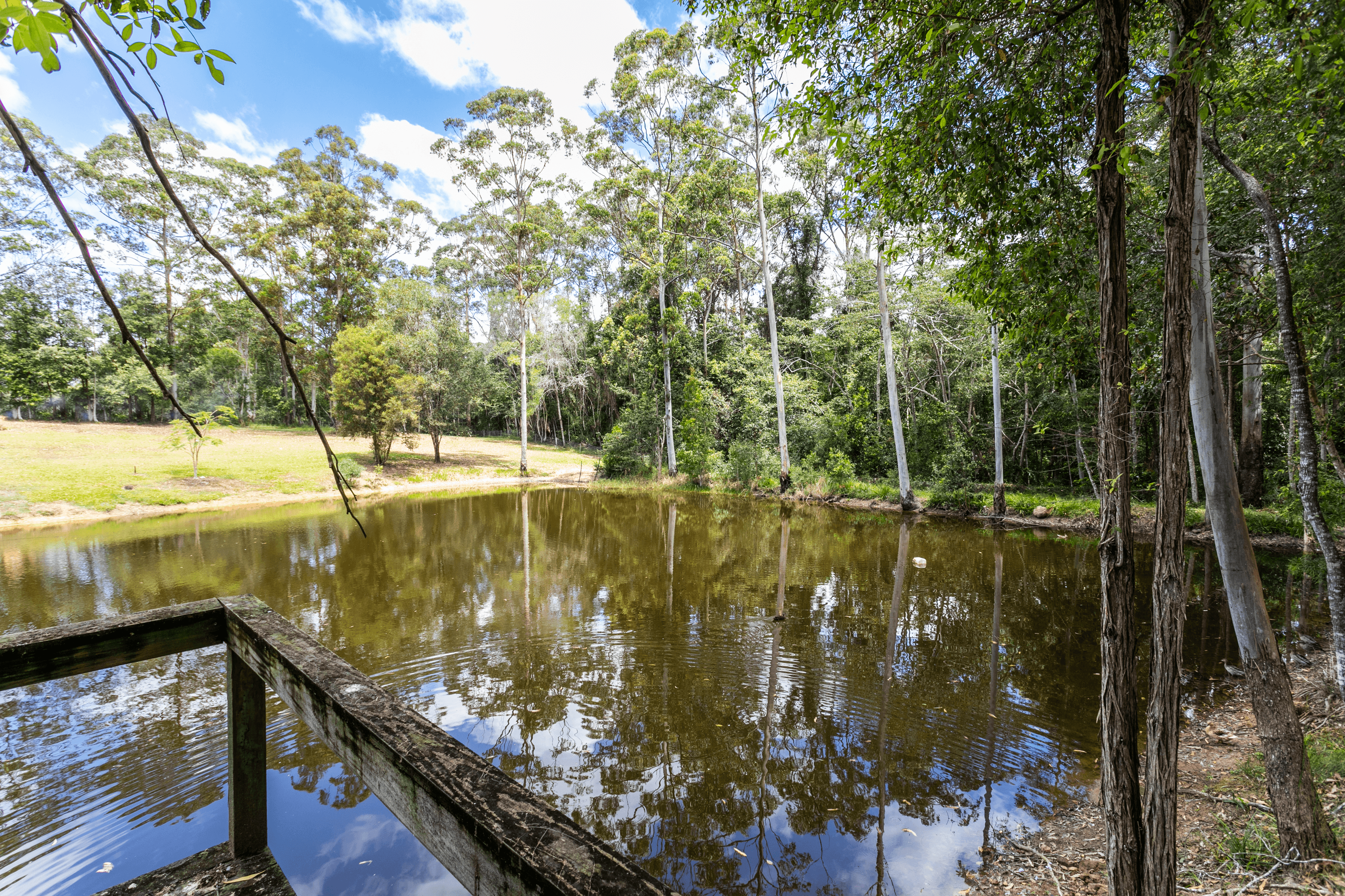 135 Forest Acres Drive, LAKE MACDONALD, QLD 4563