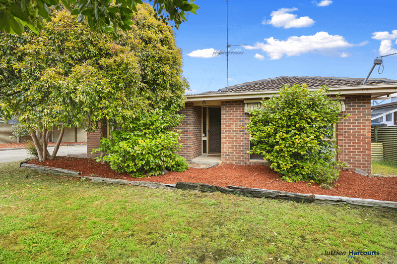 38 Rose Street, ALEXANDRA, VIC 3714