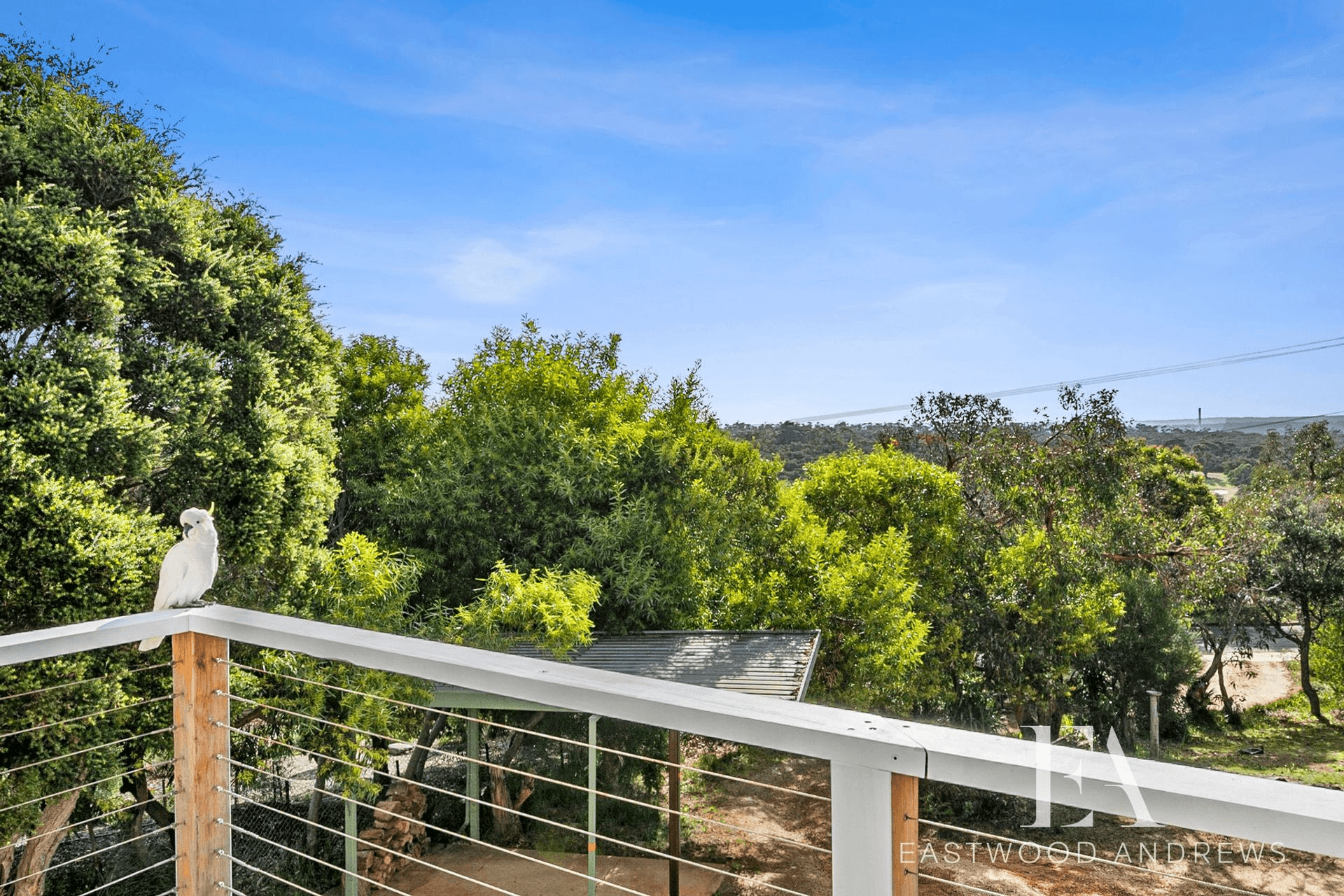 48 Mcmahon Avenue, Anglesea, VIC 3230