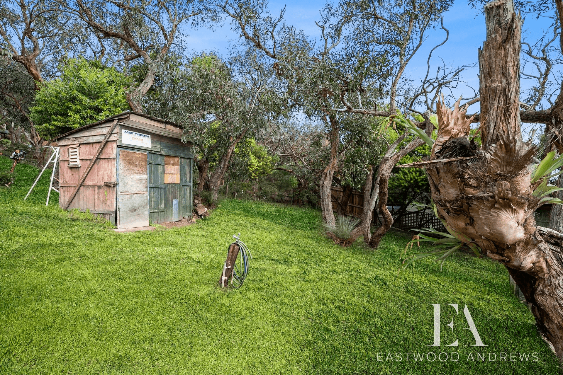 48 Mcmahon Avenue, Anglesea, VIC 3230