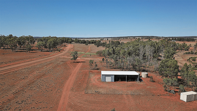 525 BORAH CREEK Road, ROCKY GLEN, NSW 2357