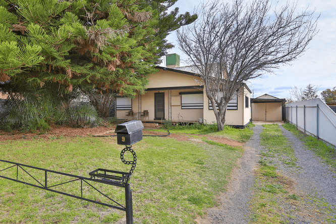 9 The Centreway, RED CLIFFS, VIC 3496