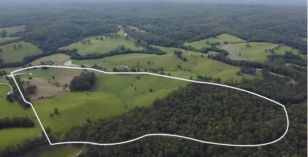 Lot 1/87 Searles Rd, Tamban, NSW 2441