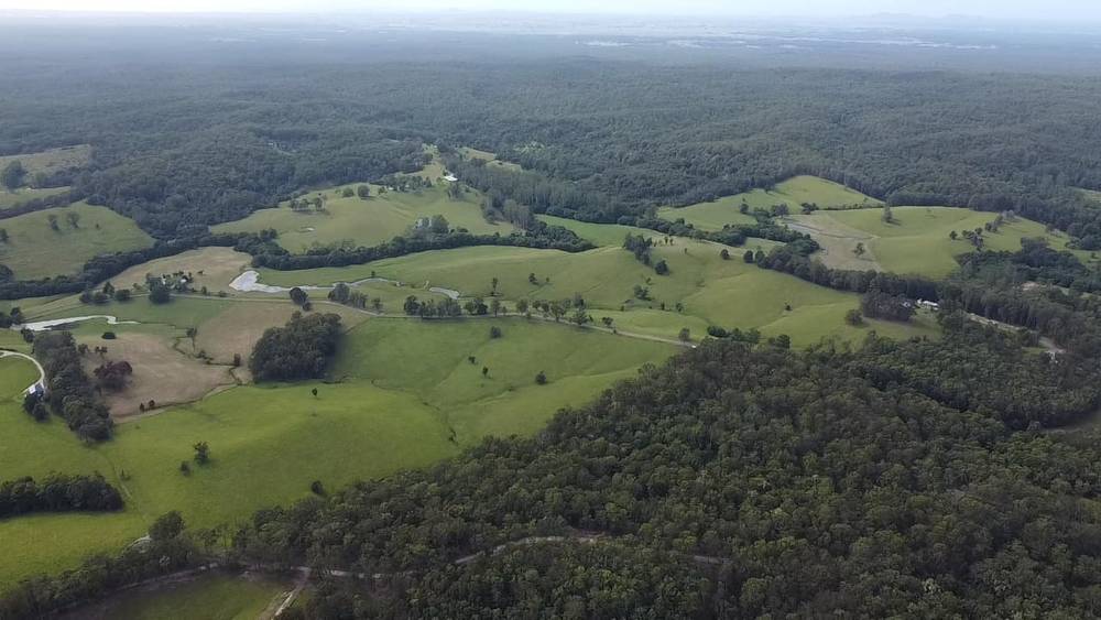 Lot 1/87 Searles Rd, Tamban, NSW 2441