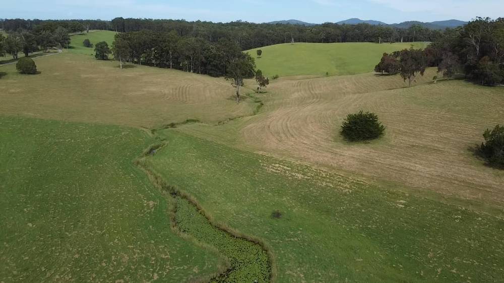 Lot 1/87 Searles Rd, Tamban, NSW 2441