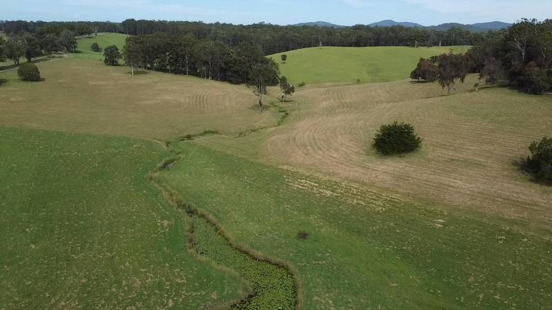 Lot 1/87 Searles Rd, Tamban, NSW 2441
