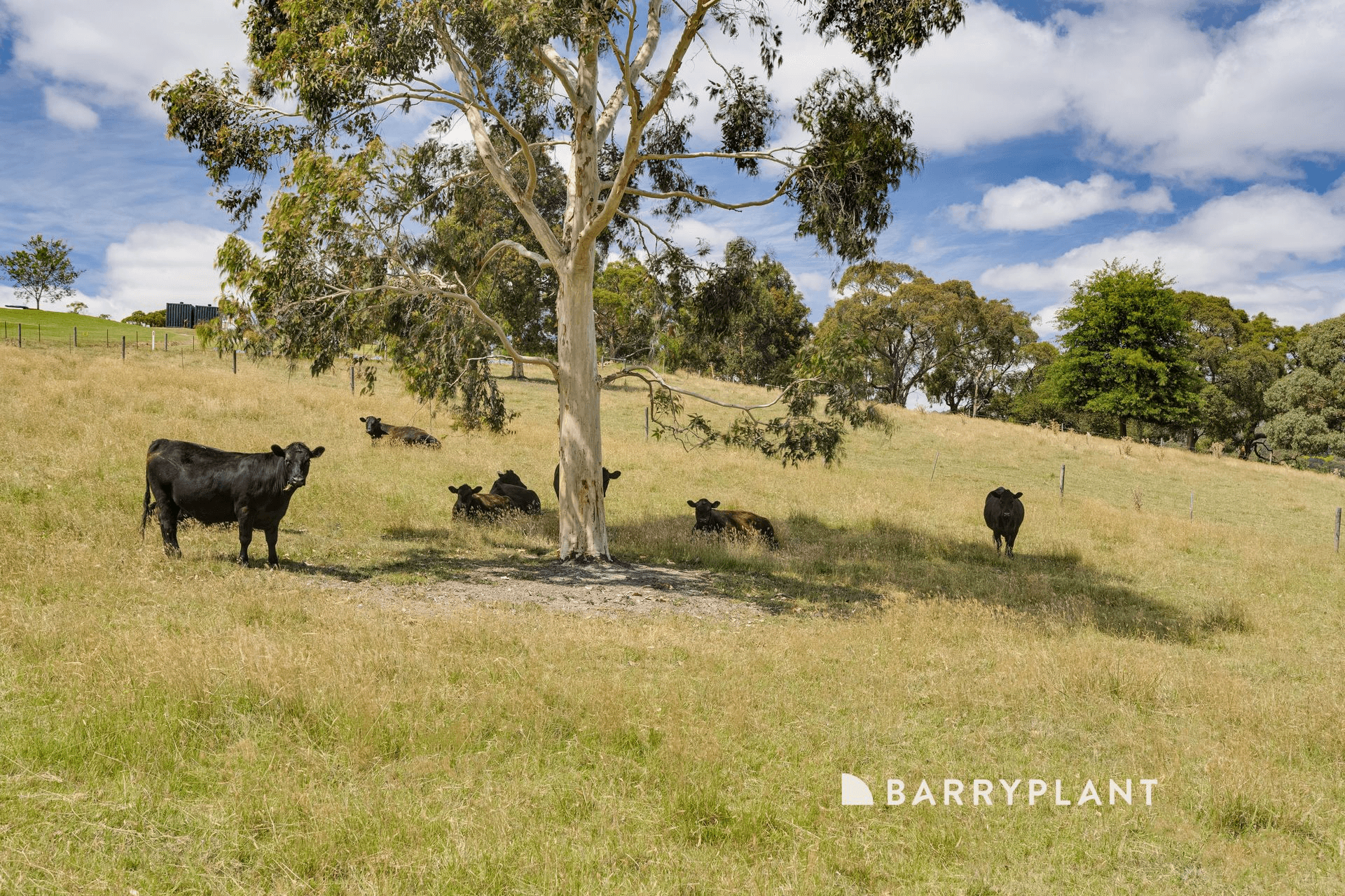 276 Lysterfield Road, Lysterfield, VIC 3156