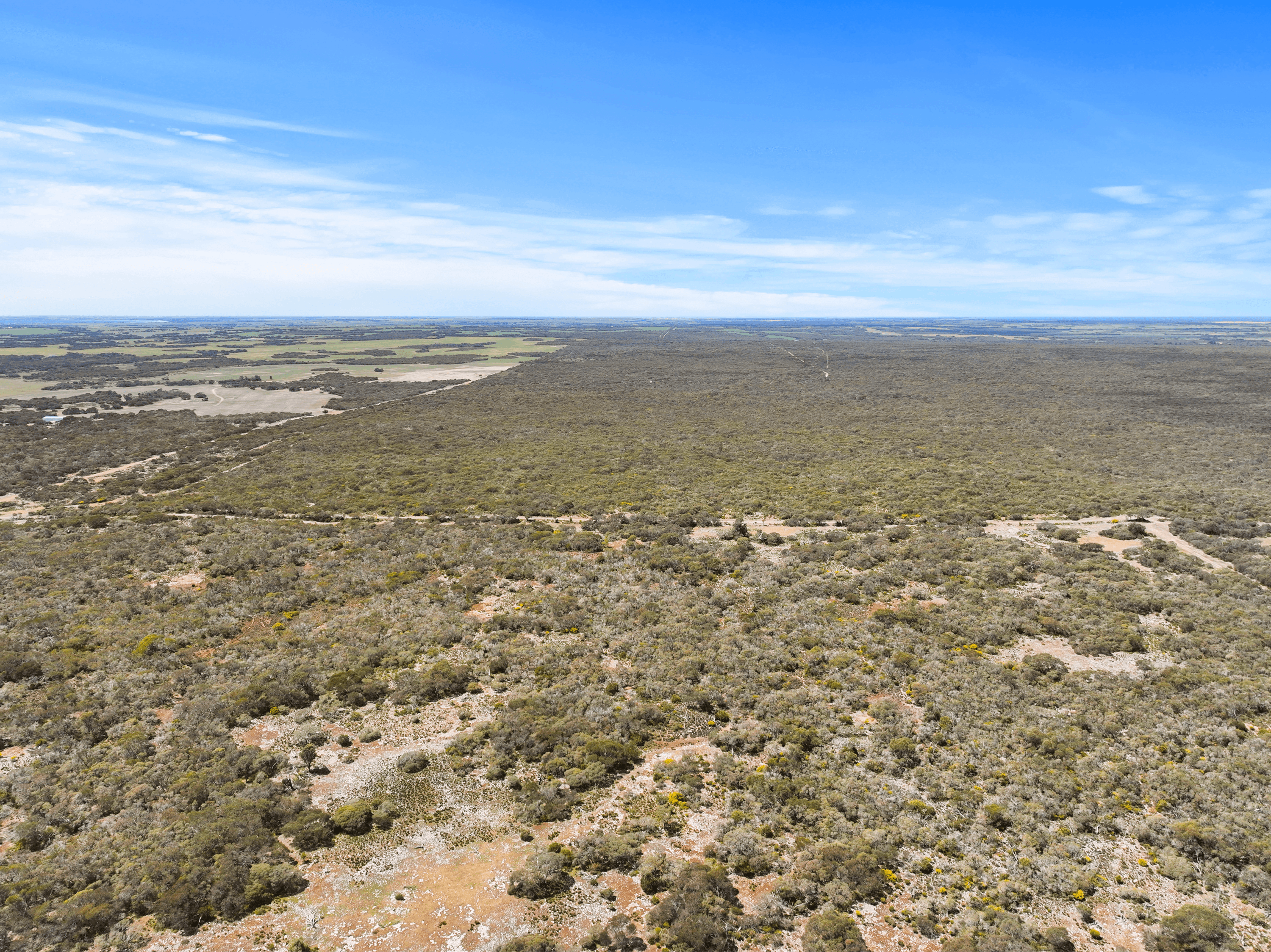 Section 230 Levens Road, WAROOKA, SA 5577