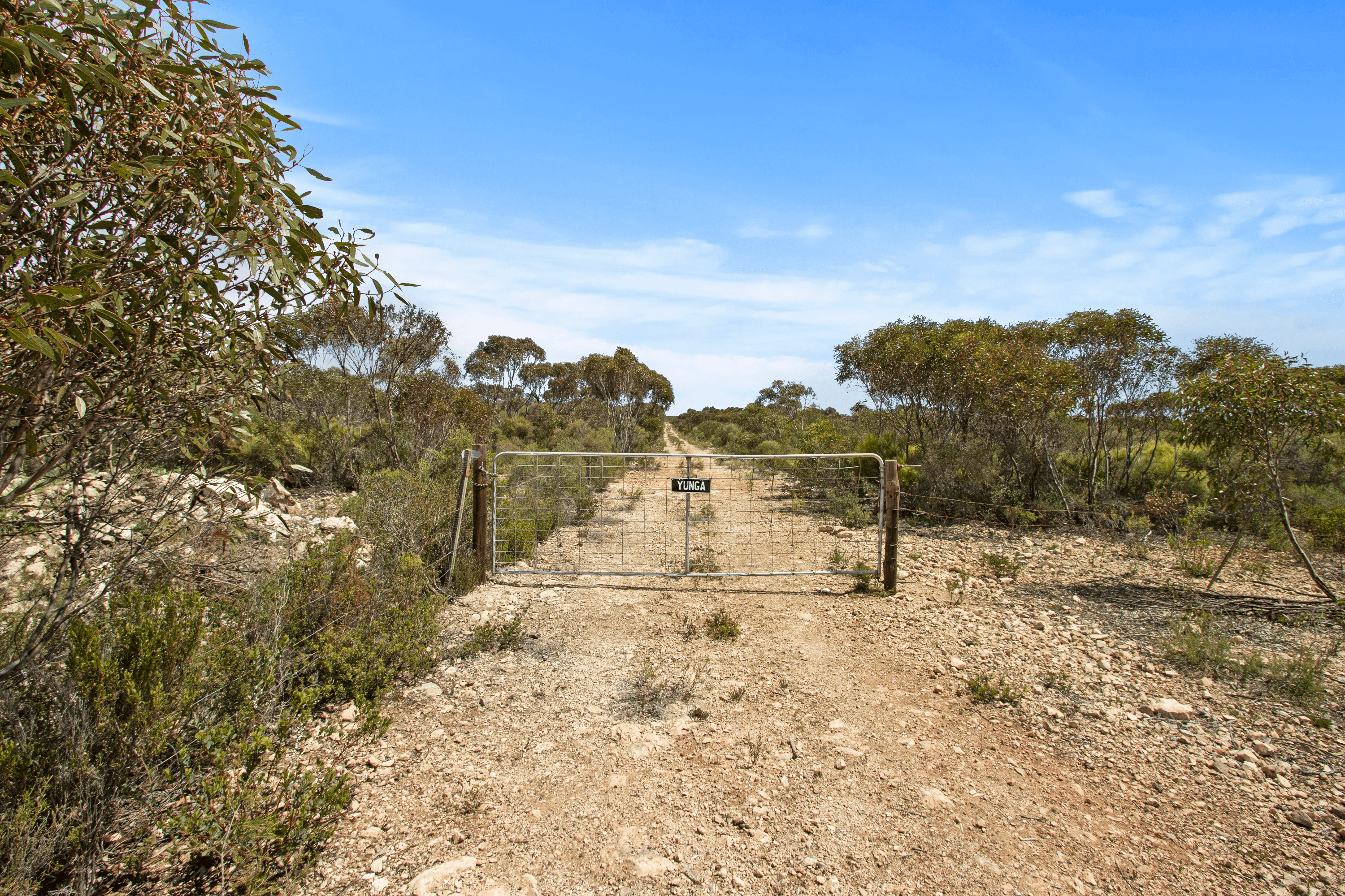 Section 230 Levens Road, WAROOKA, SA 5577