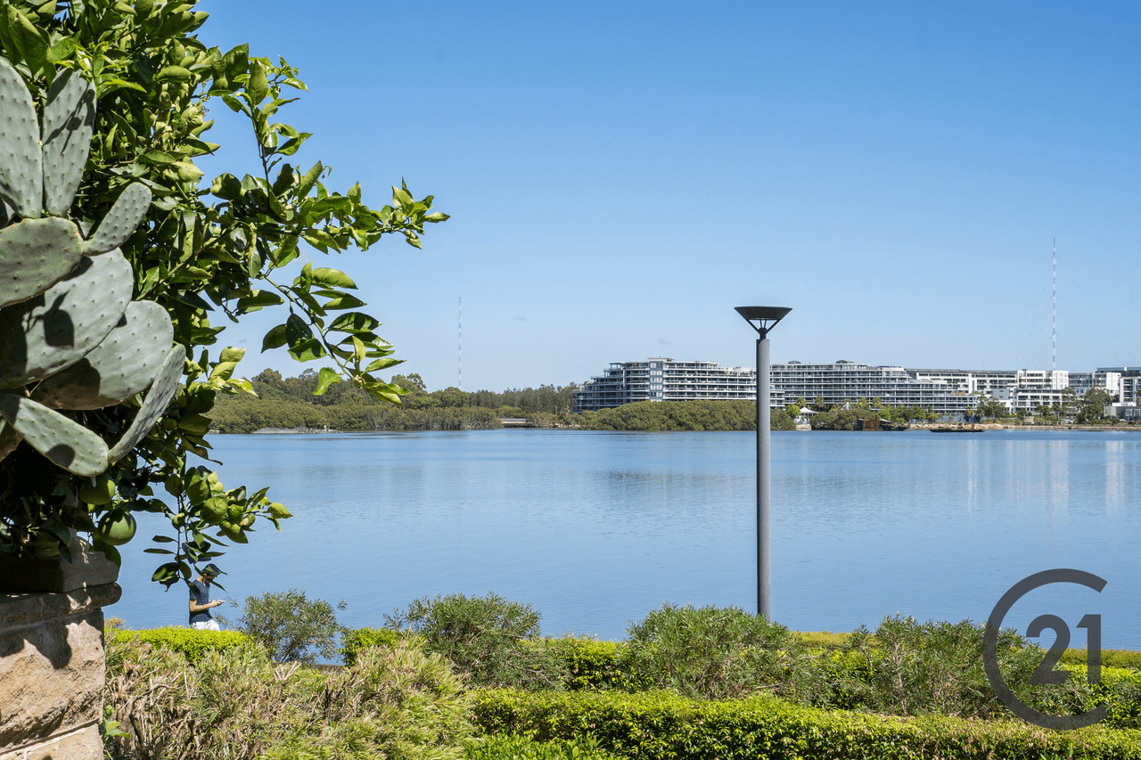 301/12 Shoreline Drive, Rhodes, NSW 2138