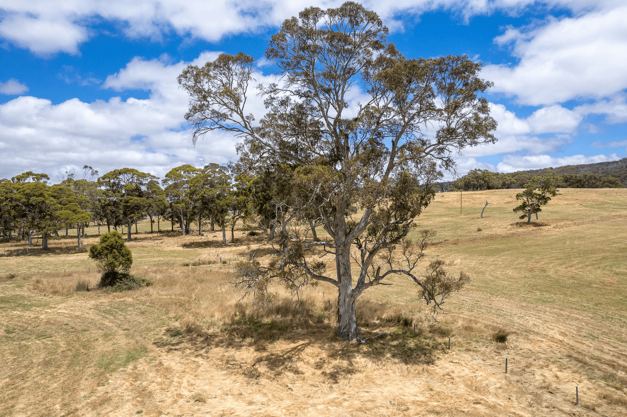 398 Macclesfield Rd, Macclesfield, SA 5153