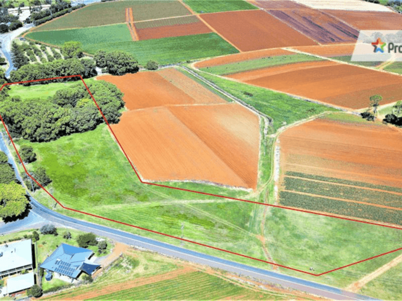 Lot 101 Cudgen Road, CUDGEN, NSW 2487