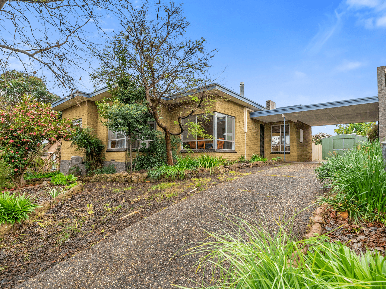 13 Jamieson Street, MYRTLEFORD, VIC 3737