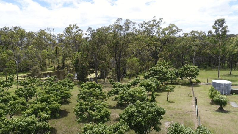 1341  Tableland Road, MOUNT MARIA, QLD 4674