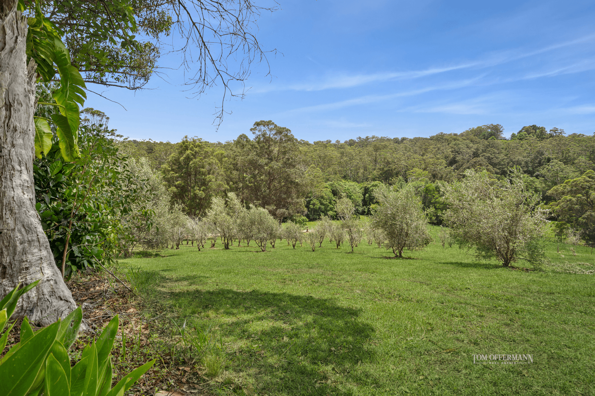 211 Jorgensen Road, Ridgewood, QLD 4563