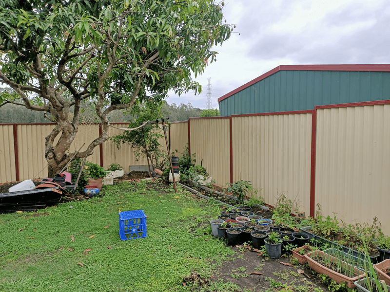 117 Henty Drive, REDBANK PLAINS, QLD 4301