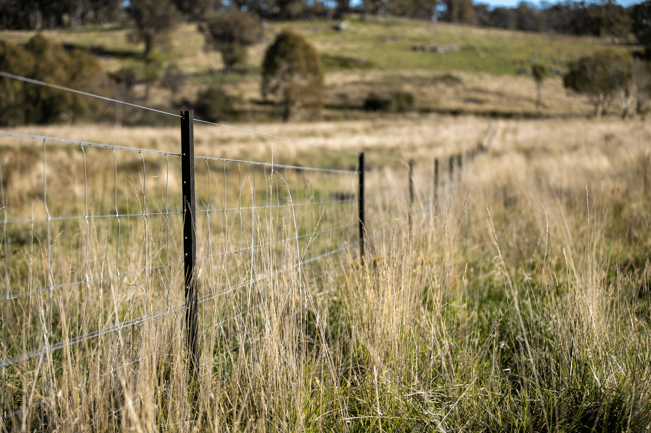 1971 Boorolong Road, ARMIDALE, NSW 2350