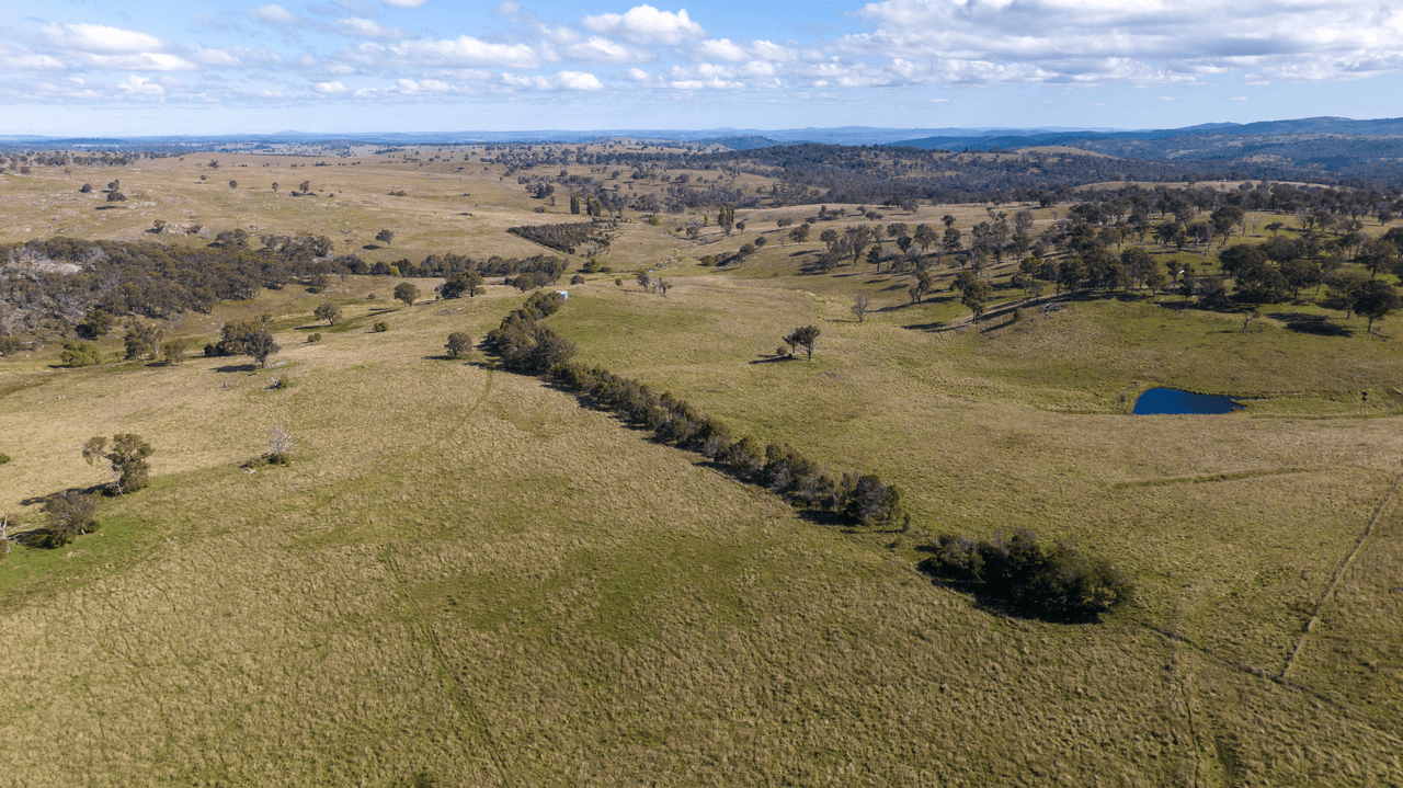 1971 Boorolong Road, ARMIDALE, NSW 2350