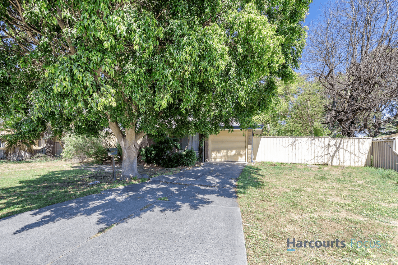 19 Morrell Way, ARMADALE, WA 6112