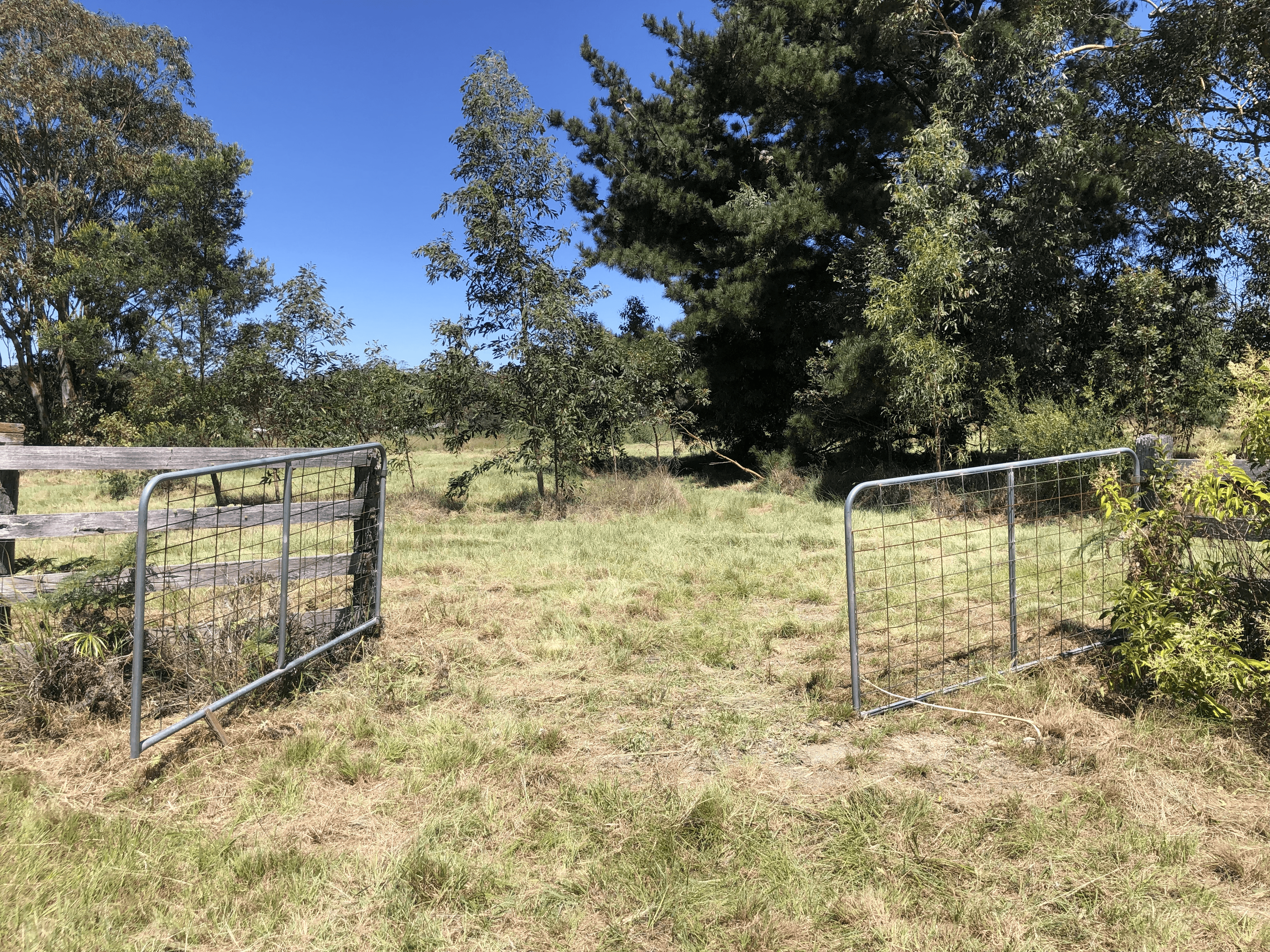 Lot 2 Belmont Drive, Dalveen, QLD 4374