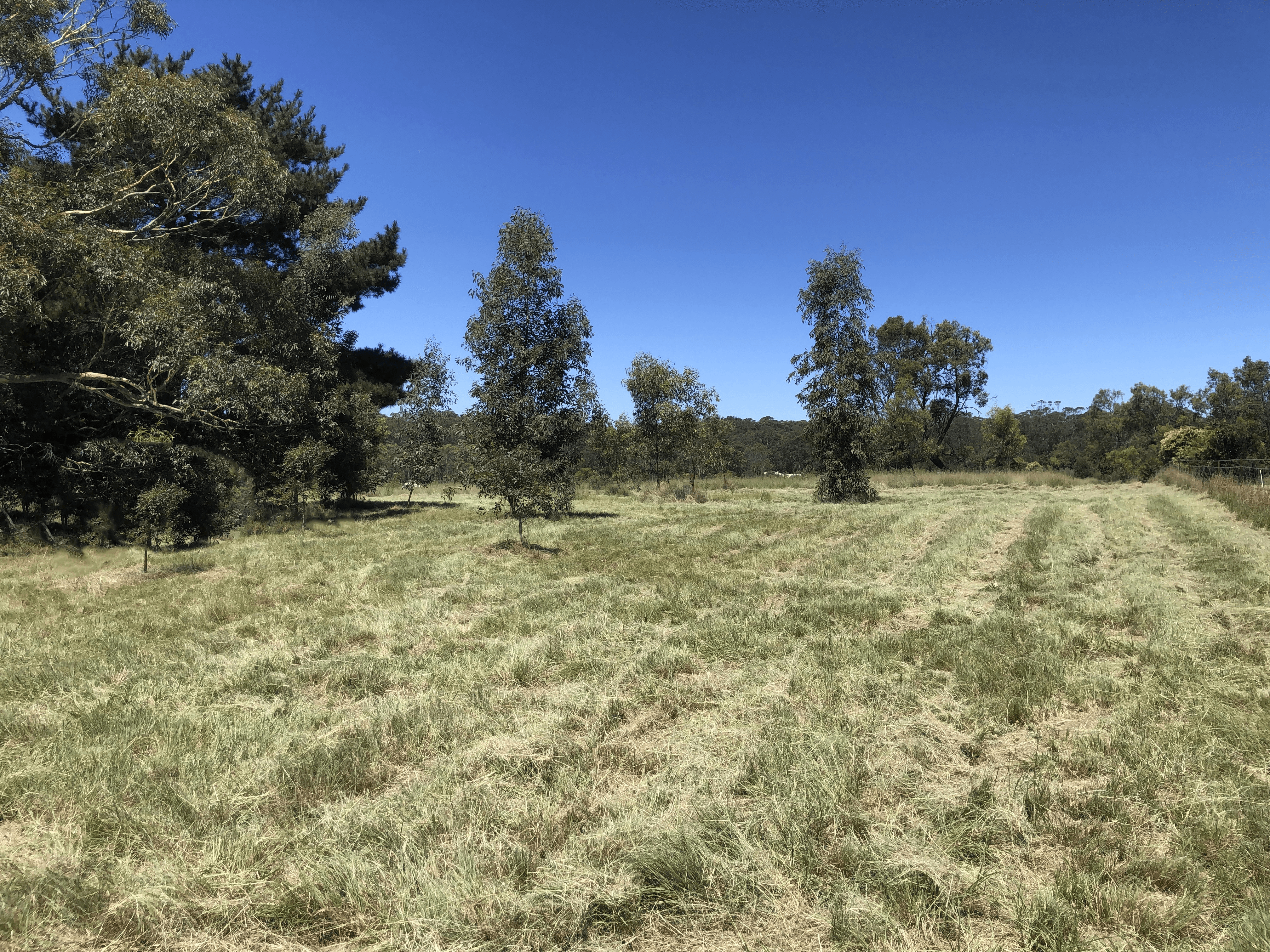 Lot 2 Belmont Drive, Dalveen, QLD 4374