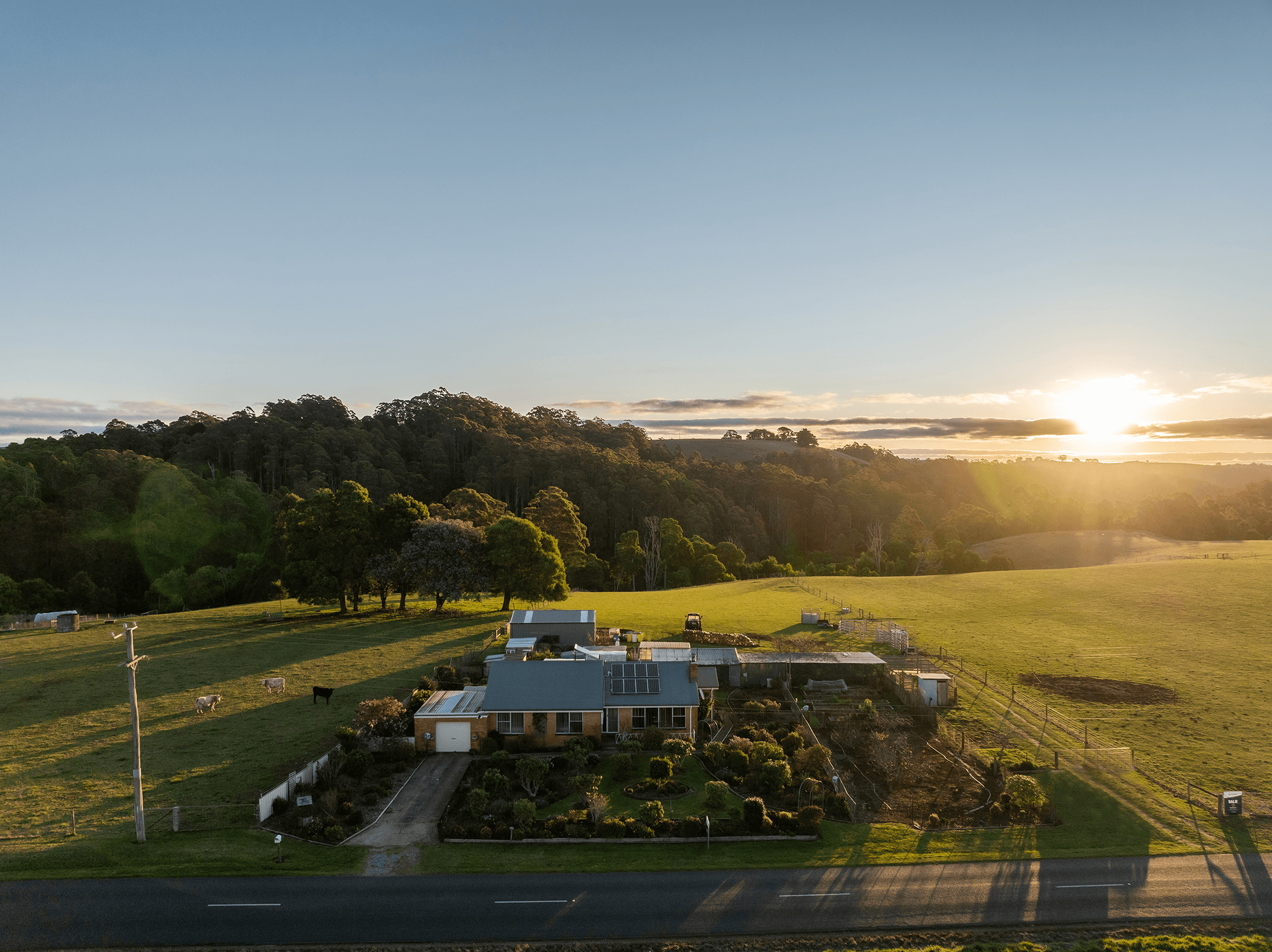 822 Mount Hicks Road, MOUNT HICKS, TAS 7325