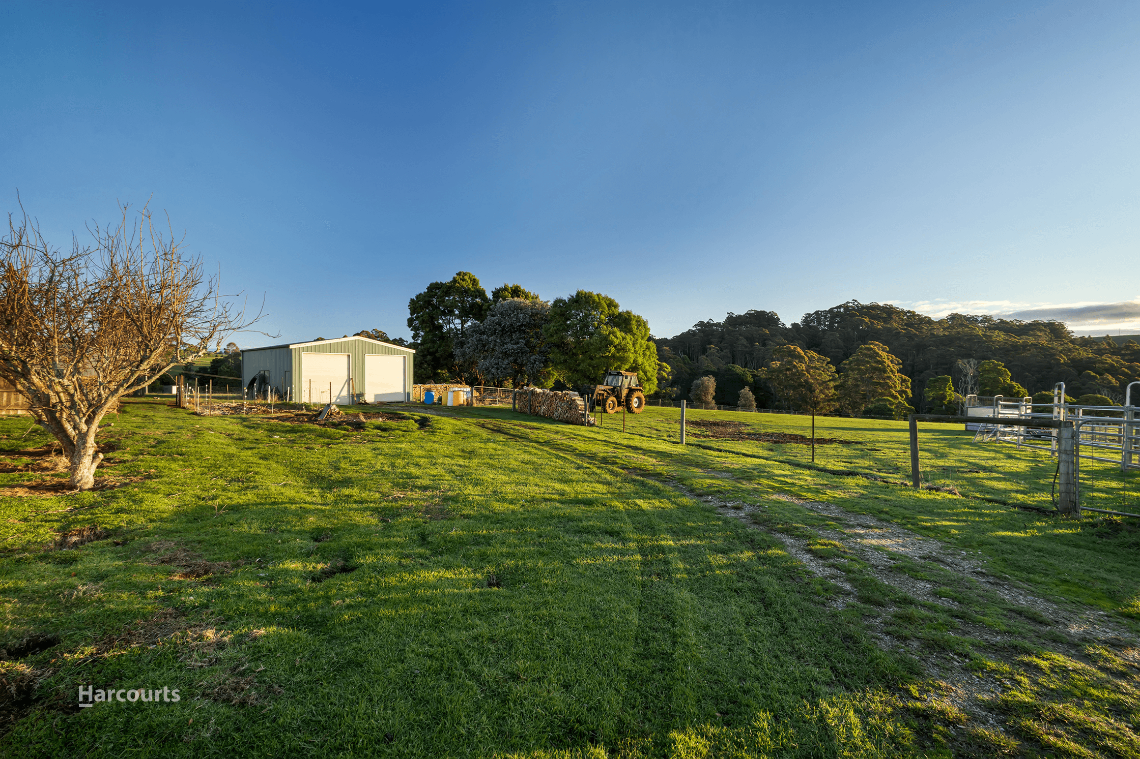 822 Mount Hicks Road, MOUNT HICKS, TAS 7325