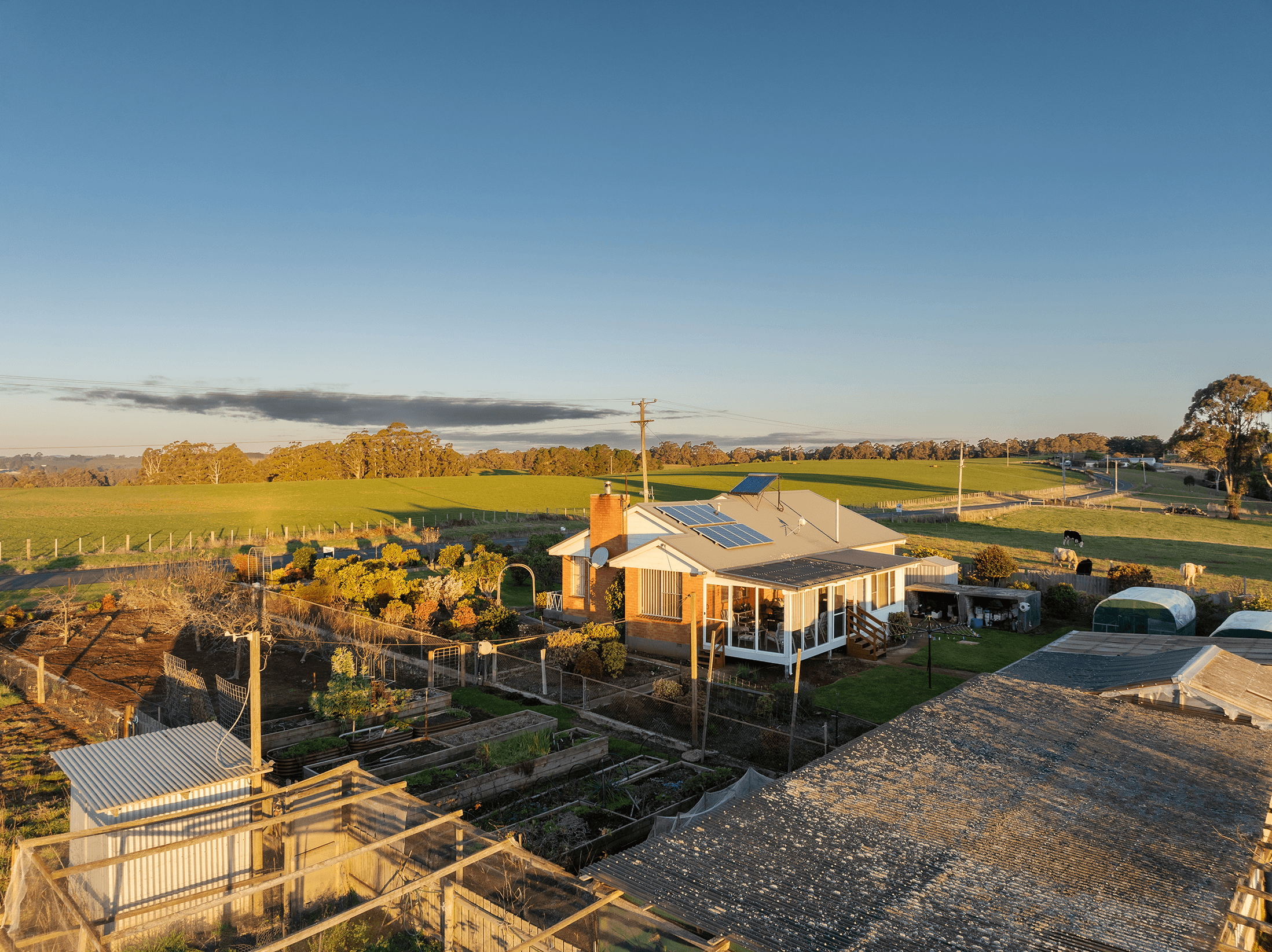 822 Mount Hicks Road, MOUNT HICKS, TAS 7325