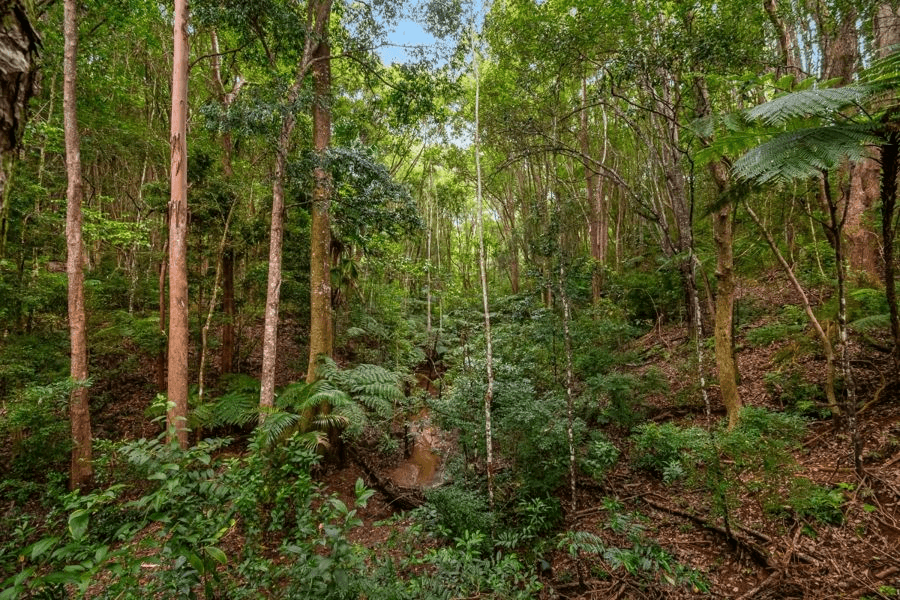 308 Burringbar Road, UPPER BURRINGBAR, NSW 2483