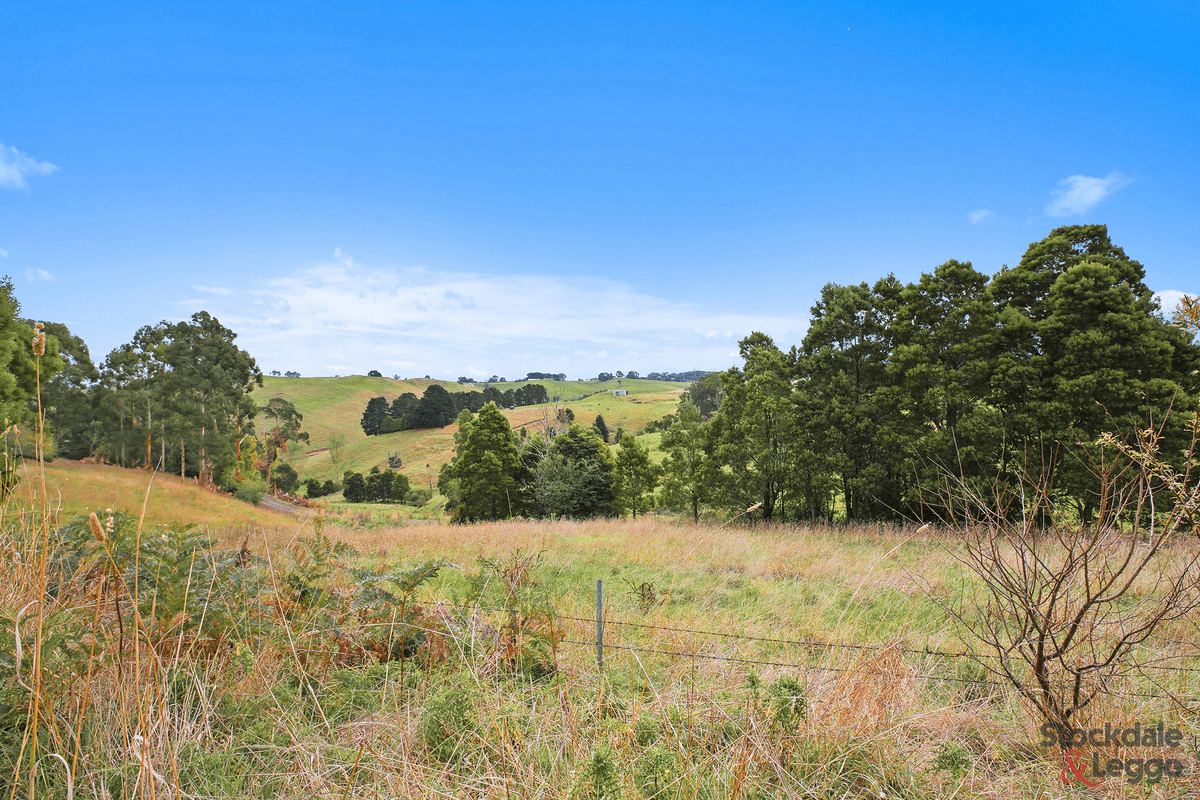 Part of 50 Retallacks Road, Mirboo North, VIC 3871