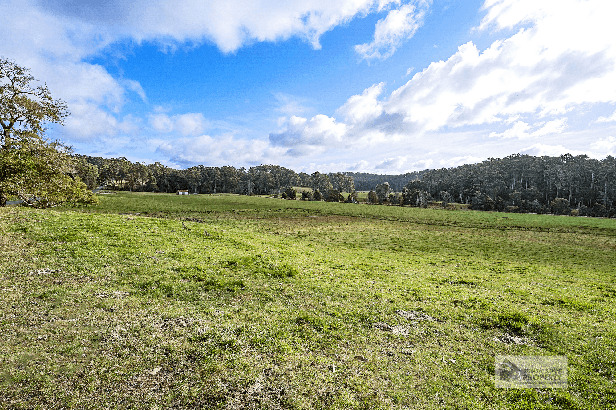 173 Pages Road, CALDER, TAS 7325