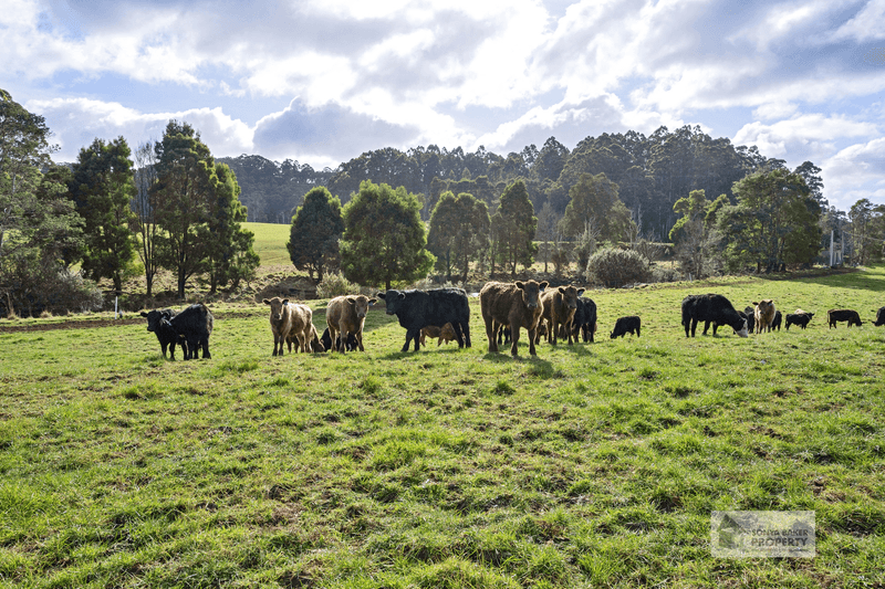 173 Pages Road, CALDER, TAS 7325