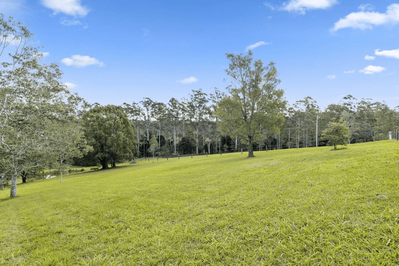 203 Allgomera Road, ALLGOMERA, NSW 2441