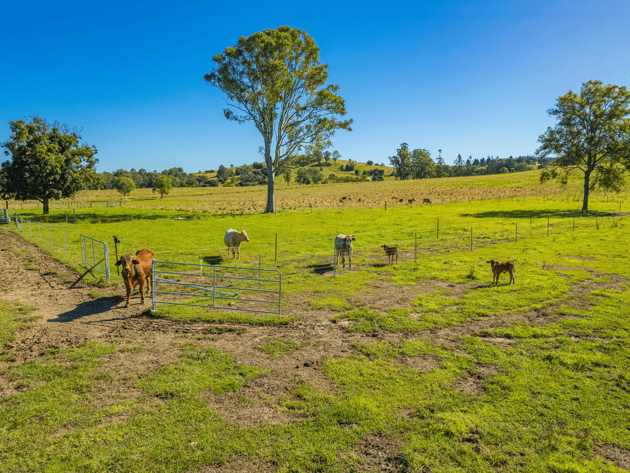 47 Sunshine Rd, Wolvi, QLD 4570