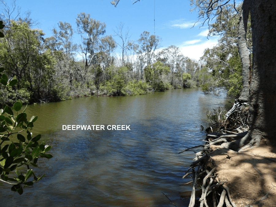 315  Deepwater Road, DEEPWATER, QLD 4674