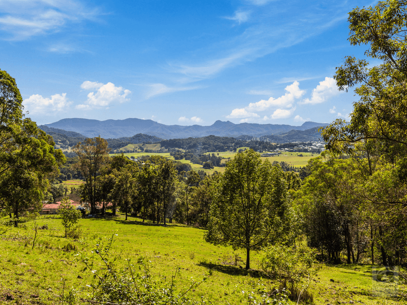 671 Kyogle Road, Byangum, NSW 2484