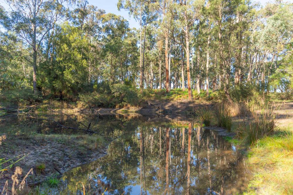 82 Gregory Rd, Nicholson, VIC 3882